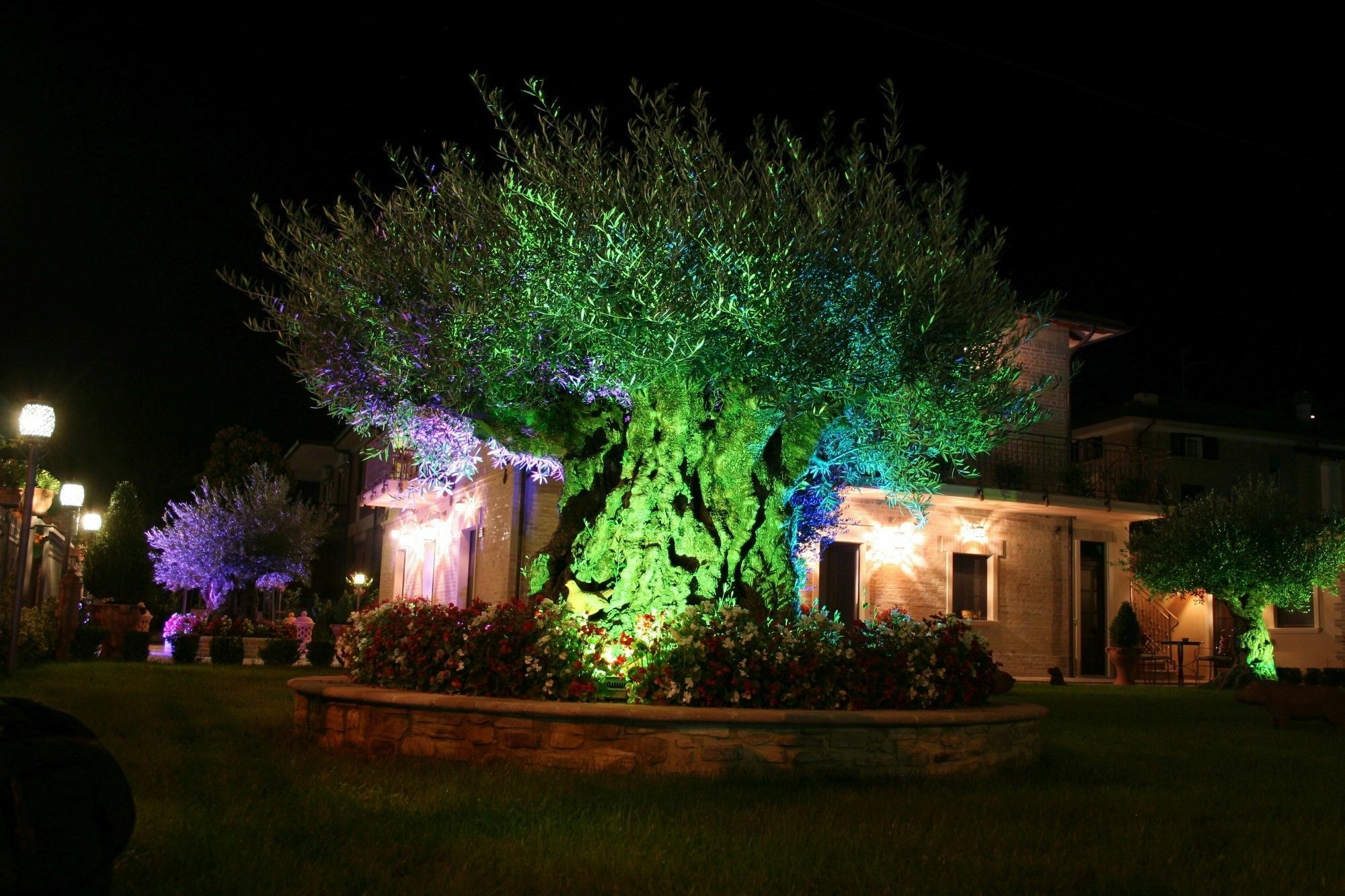 Domus Angeli Assis Exterior foto